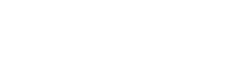 Custom Insurance Solutions Logo White